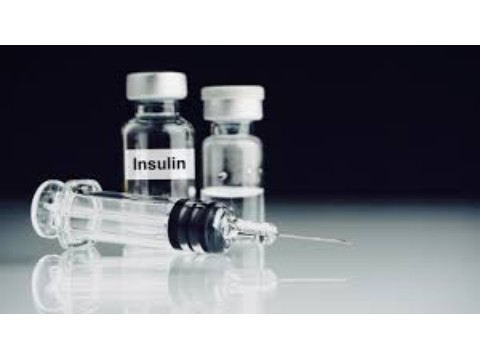 کیت انسولین - دیابت و انسولین – روش اندازه گیری انسولین – مقاومت در برابر انسولین – فراکتوز و انسولین