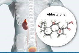 روش های اندازه گیری میزان هورمون آلدسترون در جریان خون
