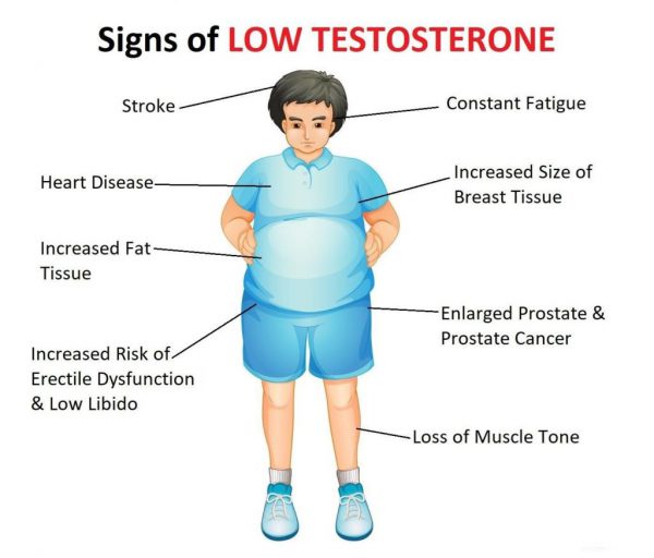 کیت تستسترون کیت Testosterone هورمون جنسی مردانه تستسترون باروری