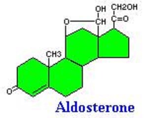 کیت آلدسترون | هورمون آلدسترون | آلدسترون و تنظیم فشار خون | آلدسترون و رنین