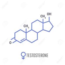 کیت تستسترون | کیت Testosterone | هورمون جنسی مردانه | تستسترون باروری