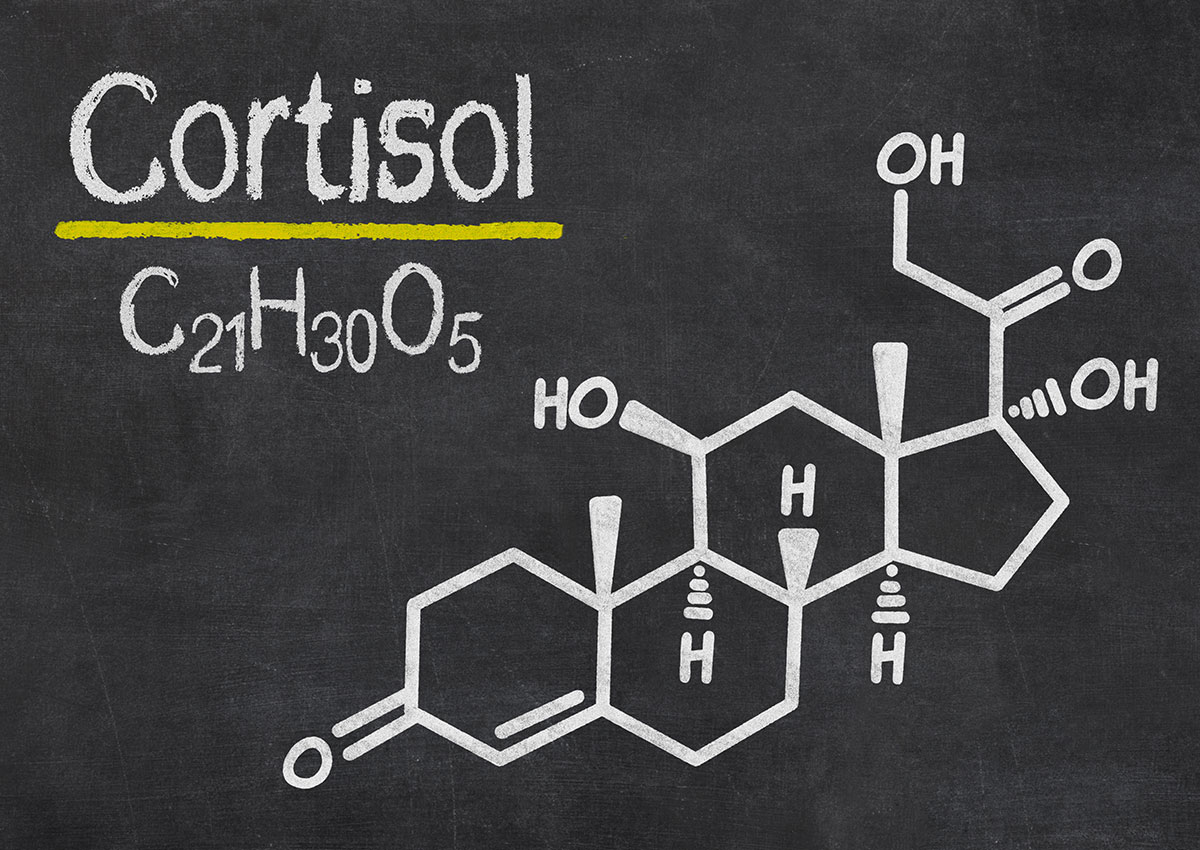 کیت کورتیزول و نقش آن در اندازه گیری میزان هورمون استرس
