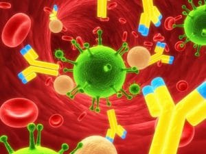 در بیماری‌های خودایمنی آنتی‌ژن‌های طبیعی بدن انسان مورد هدف سیستم ایمنی قرار می‌گیرند و از این طریق میزان ANA در سطح خون افزایش می‌یابد