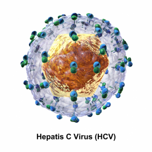 کیت HCV | علائم HCV | درمان HCV | خرید کیت HCV | قیمت کیت HCV