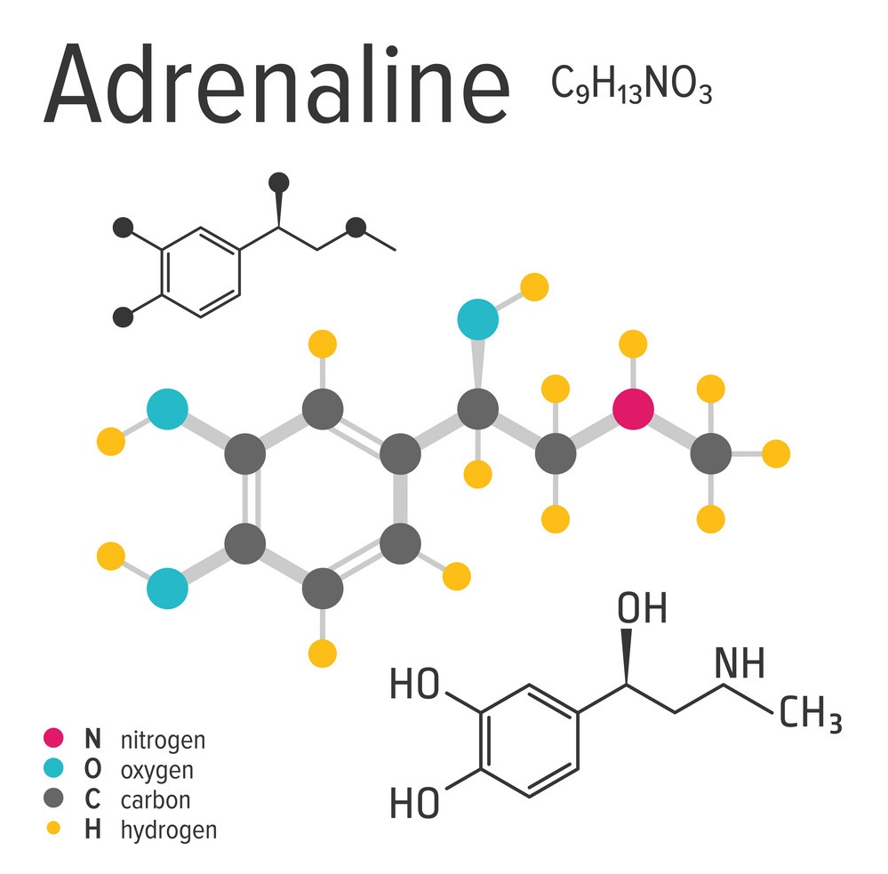 هورمون آدرنالین چیست و چگونه اندازه گیری می شود