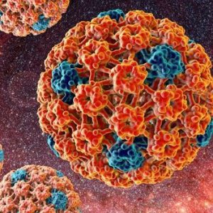 ویروس پاپیلومای انسانی HPV شایع ترین عفونت مقاربتی است که زنان و مردان فعال جنسی در معرض آن می باشند