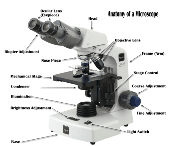 اجزای میکروسکوپ نوری