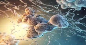 روش جدید تشخیص پاتوژن ها